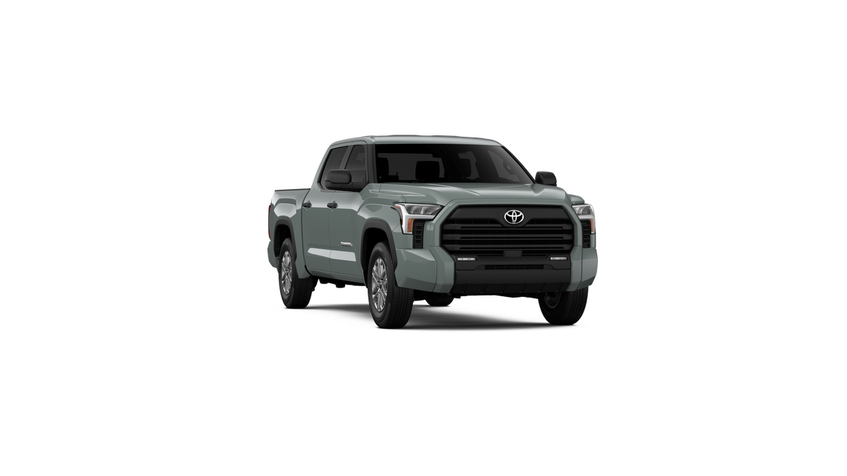 2025 Toyota Tundra SR5 - Photo 50