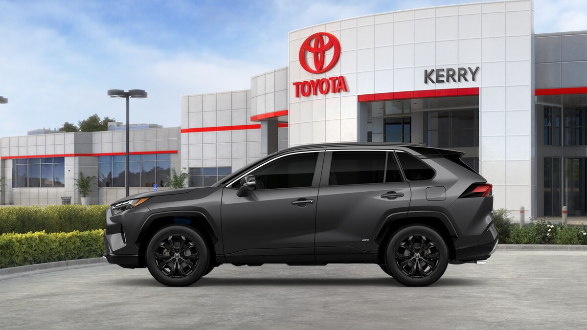 2025 Toyota RAV4 Hybrid XSE photo 4