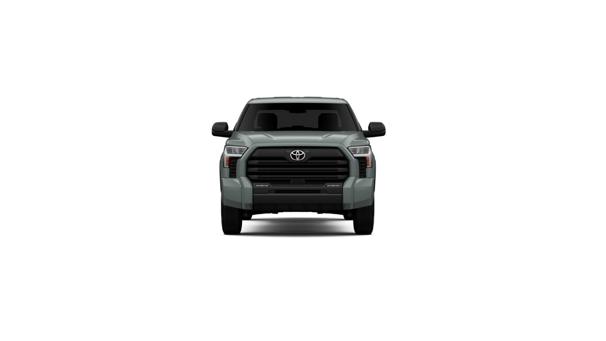 2025 Toyota Tundra SR5 - Photo 51