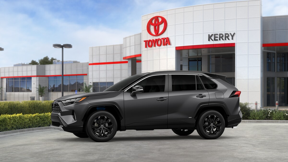 2025 Toyota RAV4 Hybrid XSE photo 4