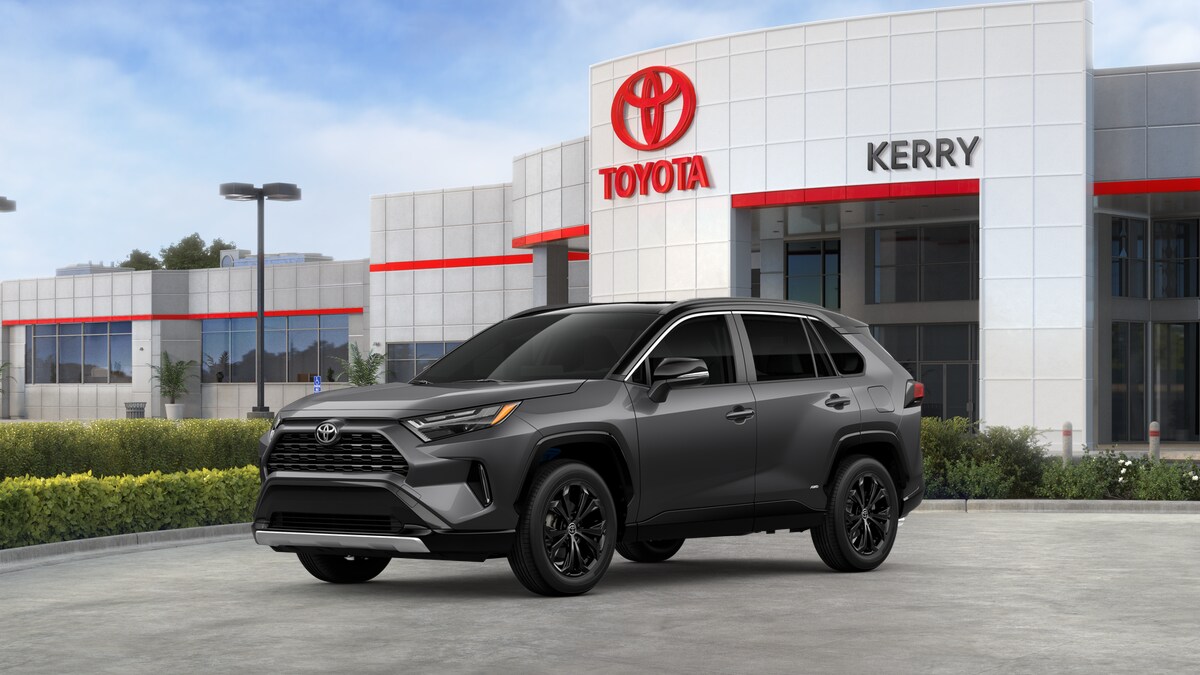 2025 Toyota RAV4 Hybrid XSE photo 3