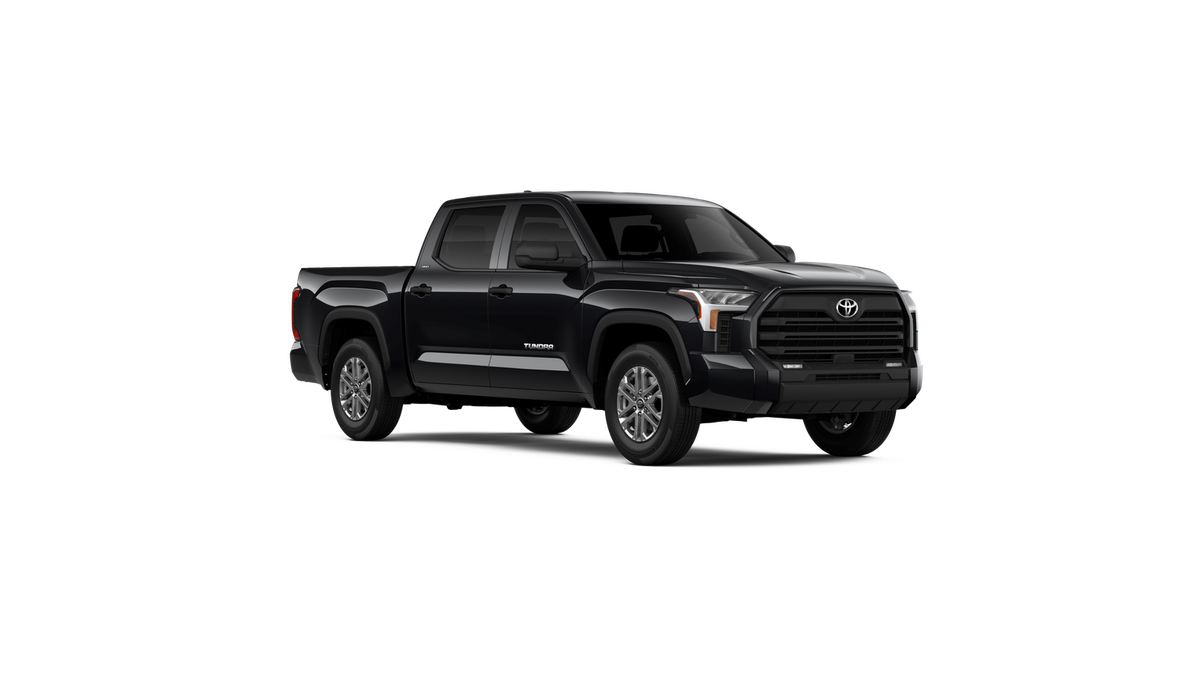 2025 Toyota Tundra SR5 - Photo 48