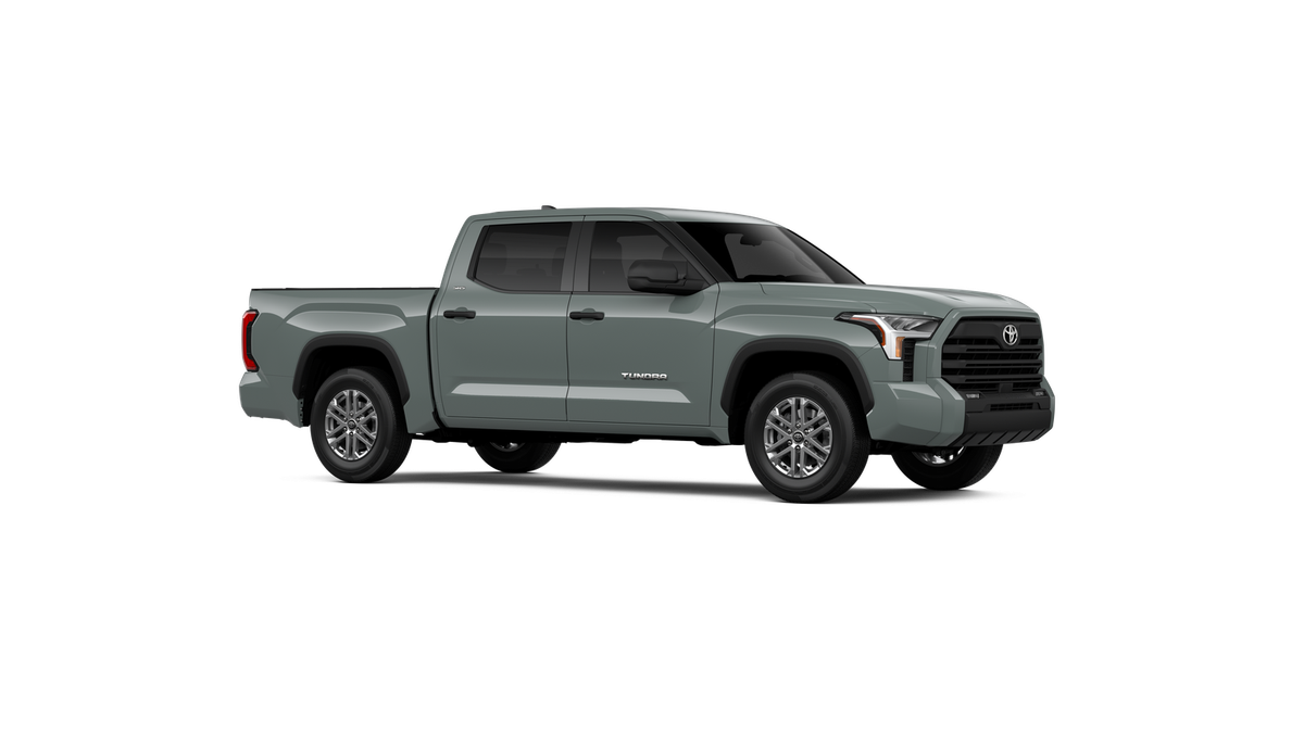 2025 Toyota Tundra SR5 - Photo 48