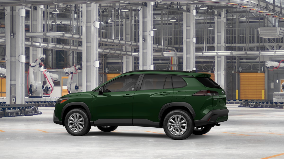 Photo 5