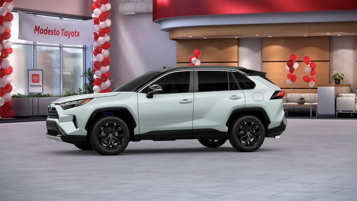 2025 Toyota RAV4 Hybrid XSE photo 3