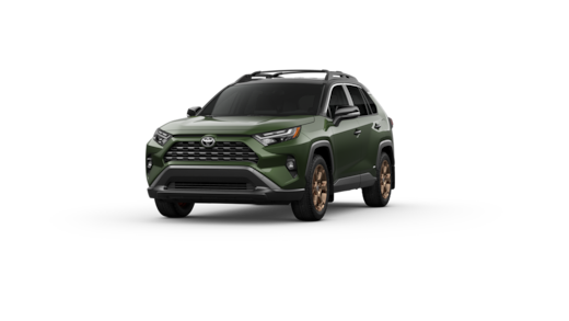 ravus 　no4 BLITZ NUR-SPEC CUSTOM EDITION STYLED EXHAUST CARBON FOR