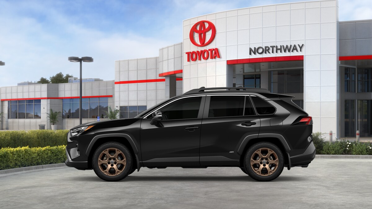 2025 Toyota RAV4 Hybrid photo 3