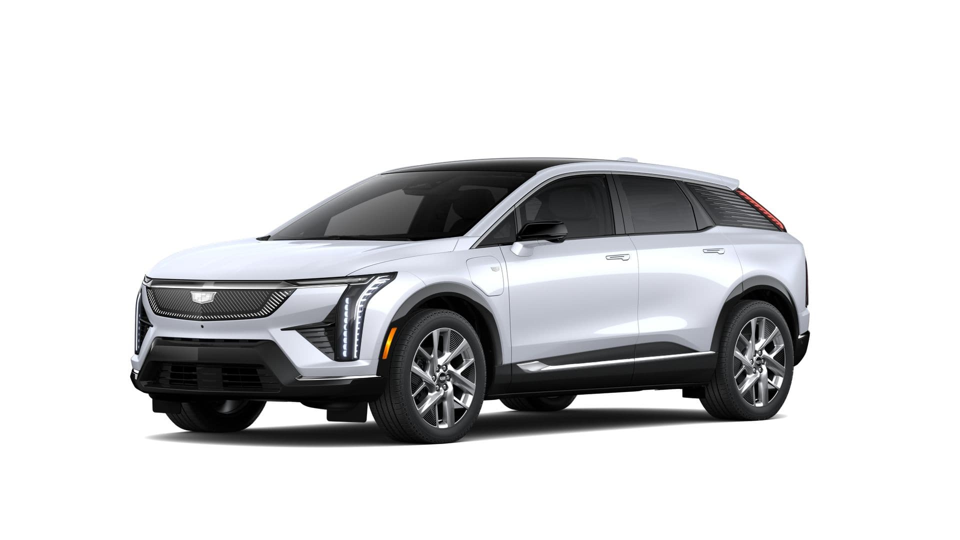 OPTIQ Premium Luxury SUV