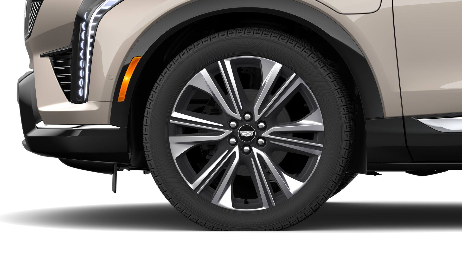 Photo 38