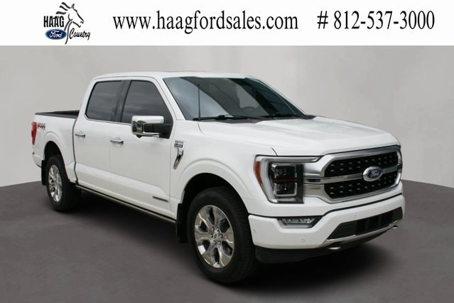 2021 Ford F-150 Platinum's photo