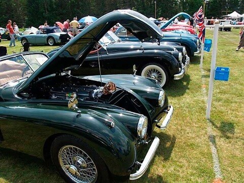jag-hoods-lg.jpg