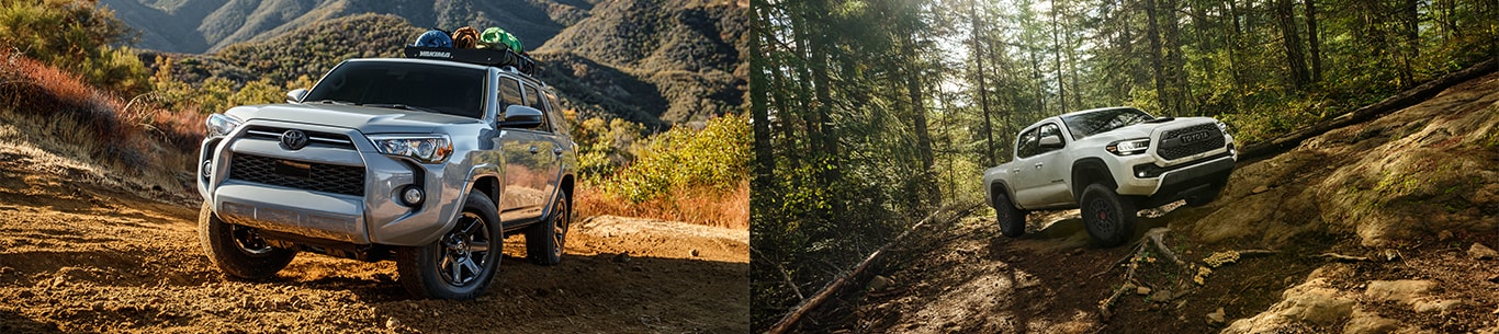 TCUV At  Haddad Toyota in Pittsfield, MA | Grey 2022 Toyota 4Runner driving up a hill while on a dirt path / White 2021 Toyota Tacoma driving in the middle of a forrest going up a hill