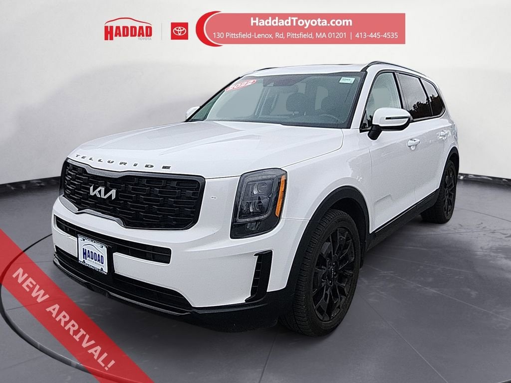 2022 Kia Telluride EX's photo