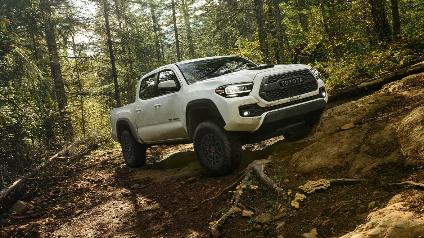 Haddad Toyota Dealership near Williamstown, MA | White 2023 Toyota Tacoma driving up a trail in the woods