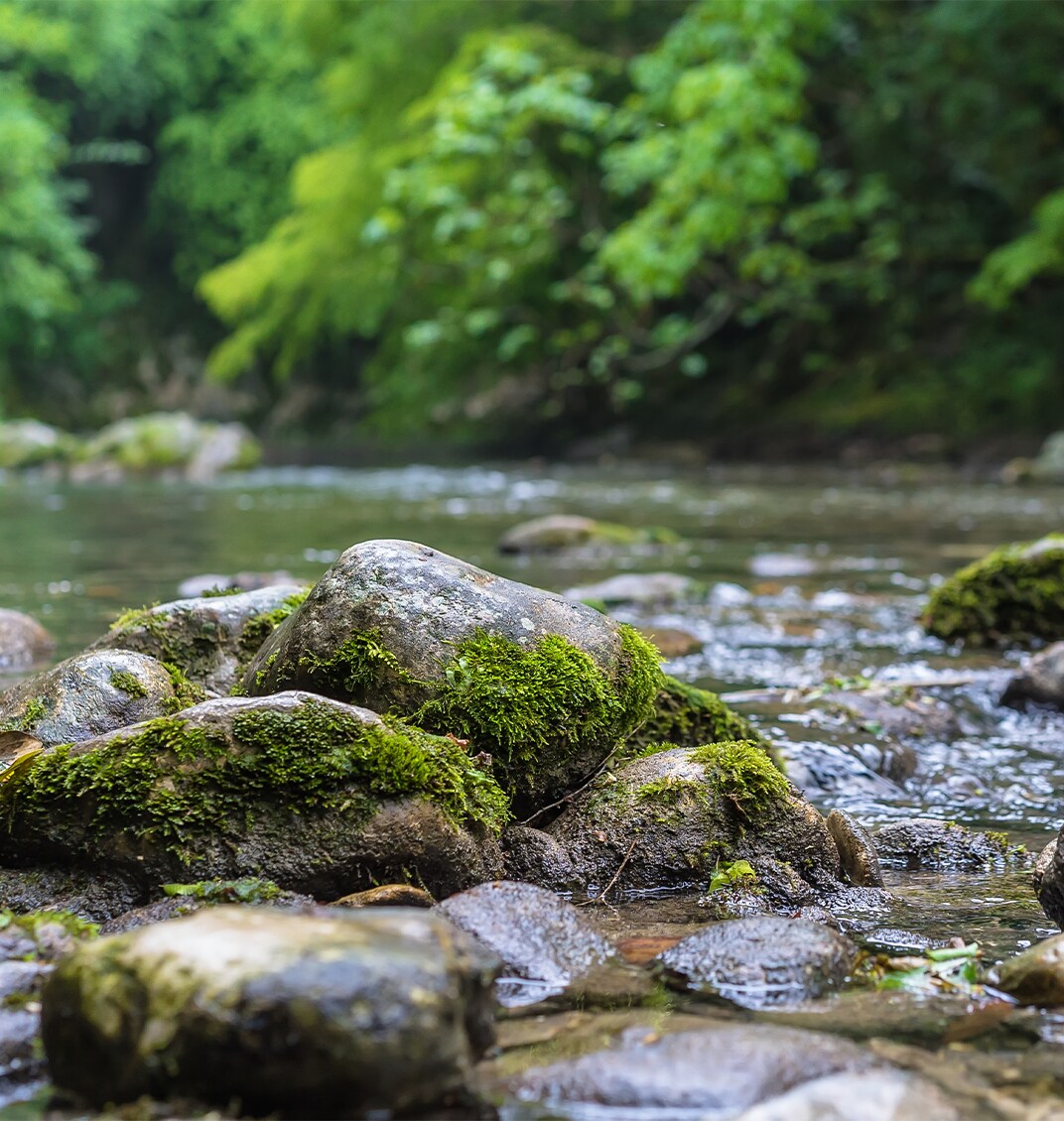 Haddad Toyota Dealership near Great Barrington, MA | View of rocks and a river located in Great Barrington
