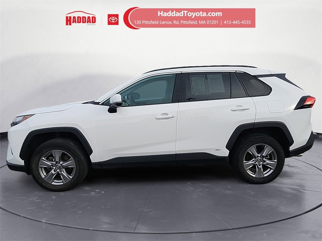 Certified 2024 Toyota RAV4 XLE with VIN 2T3RWRFV5RW231062 for sale in Northfield, Minnesota