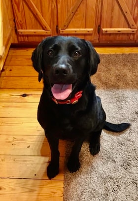 Staff member Bocephus from ae87dd1fc722