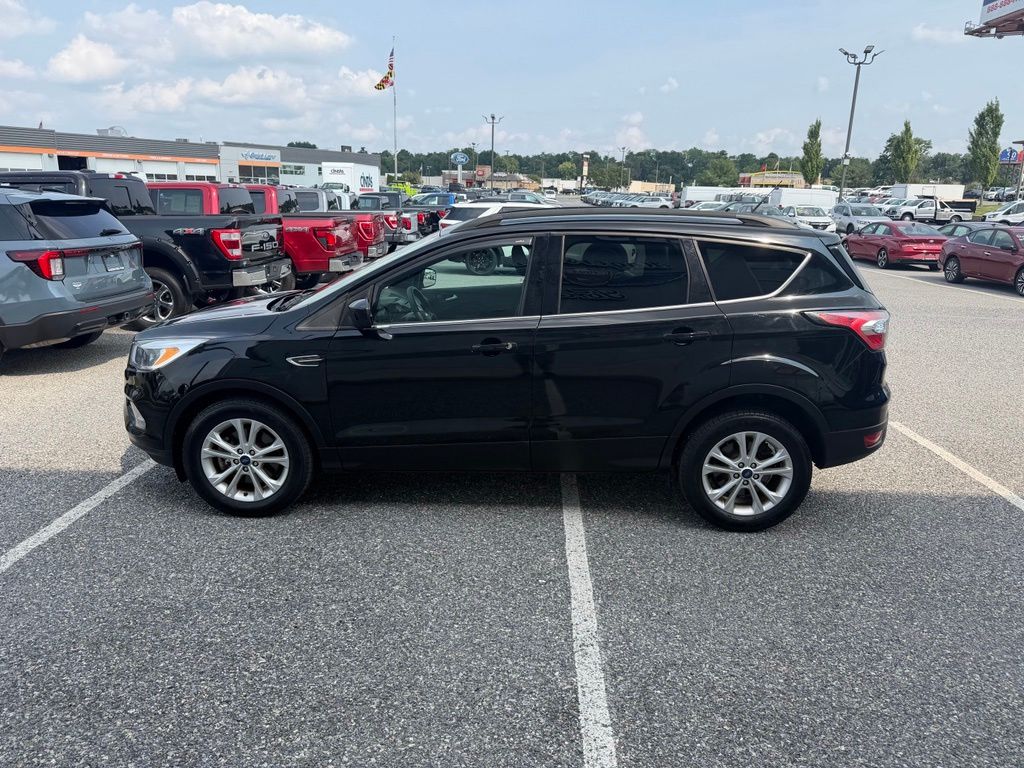 Photo 5