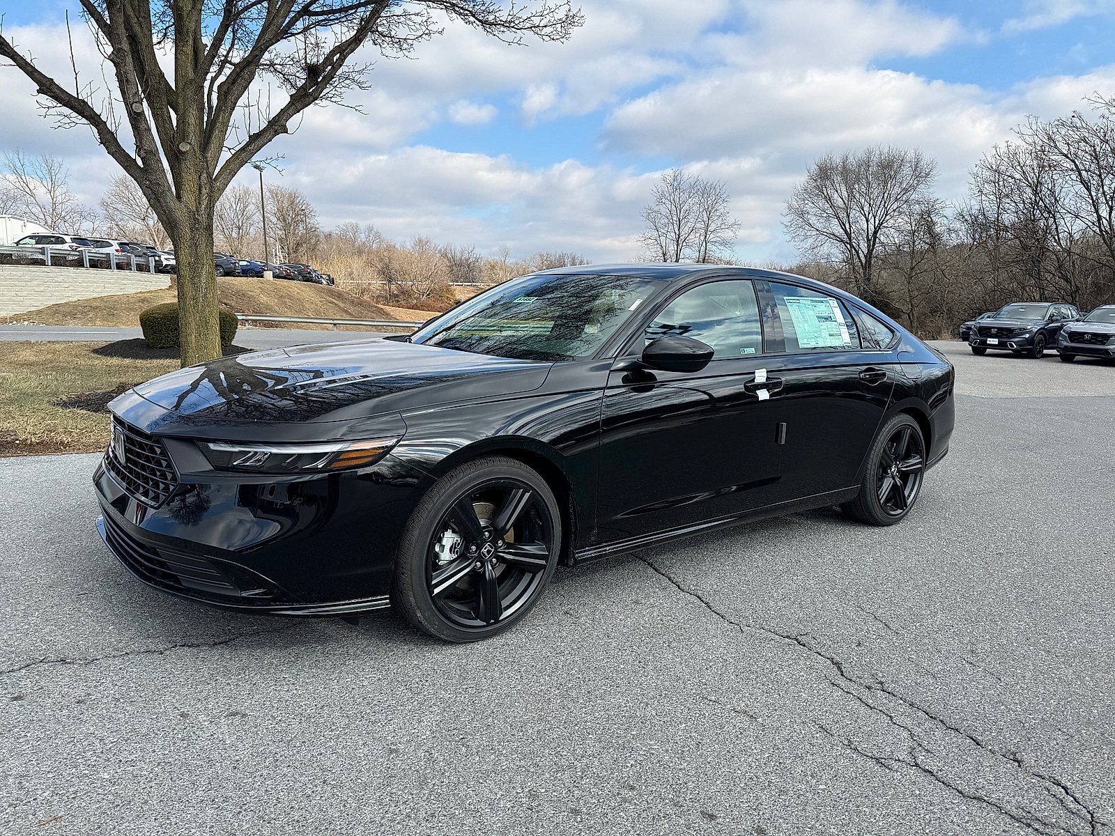 2025 Honda Accord Hybrid EX-L's photo