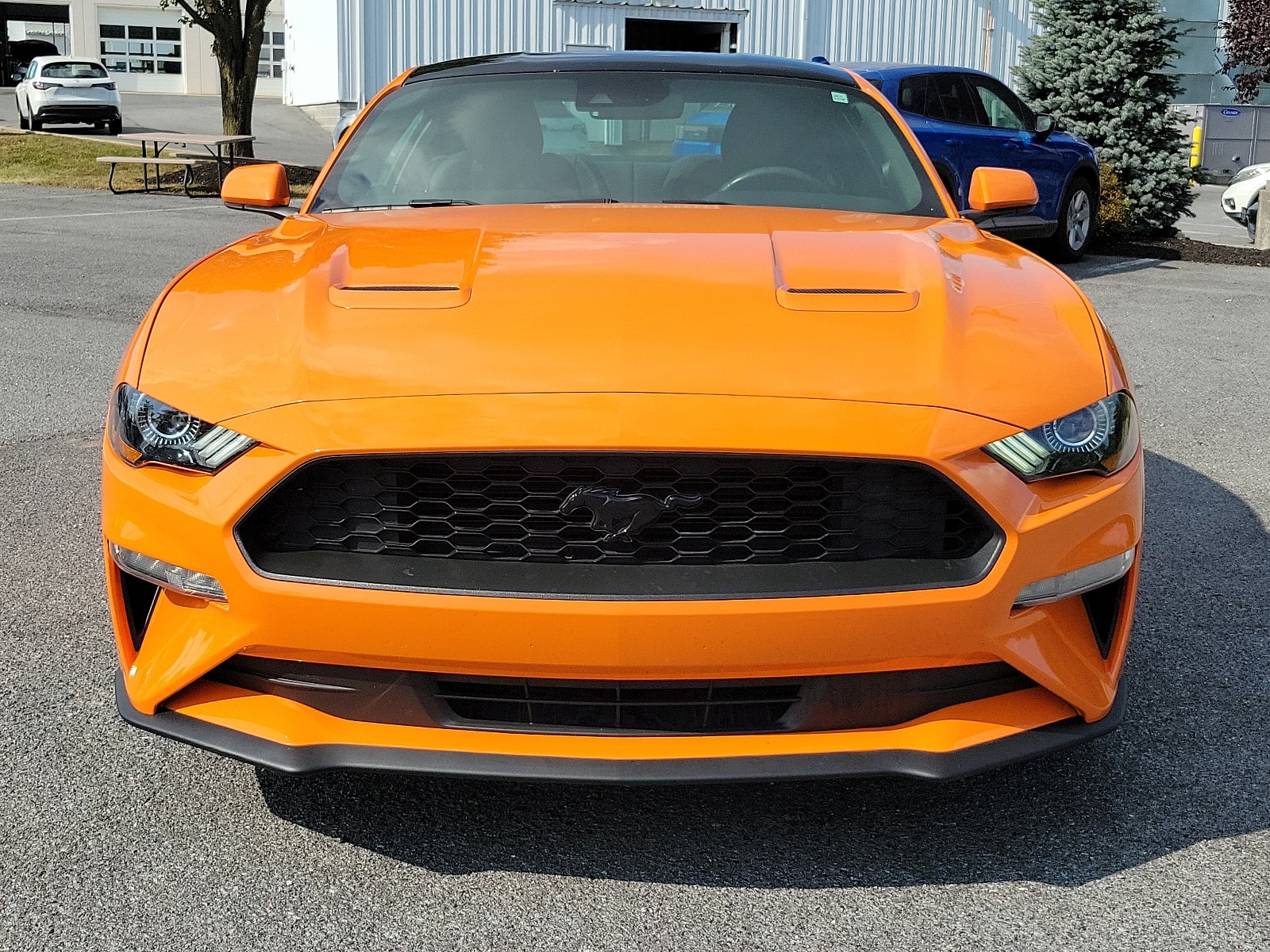 Used 2020 Ford Mustang EcoBoost with VIN 1FA6P8TH8L5182369 for sale in Hagerstown, MD