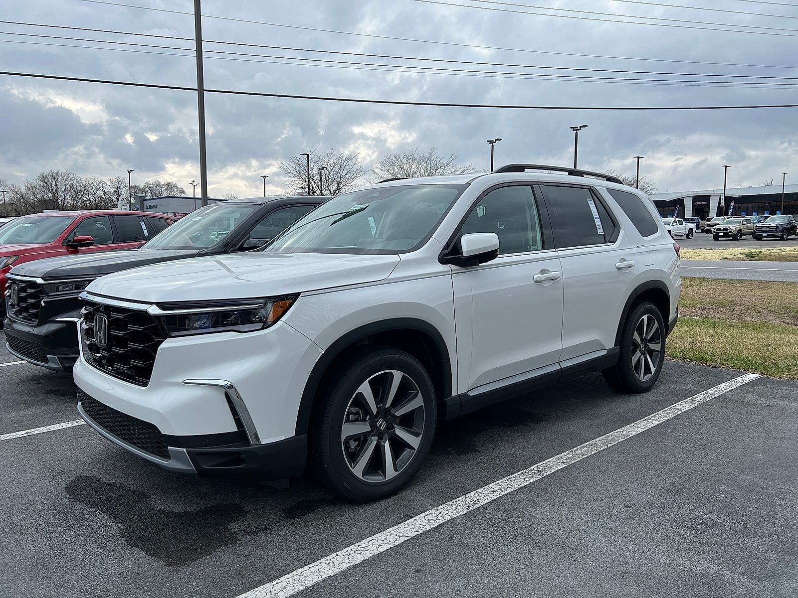2025 Honda Pilot Elite's photo