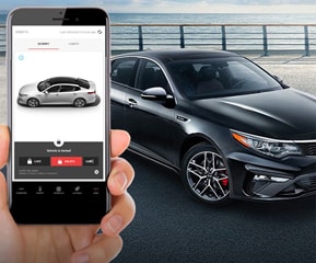 Remote Lock/Unlock