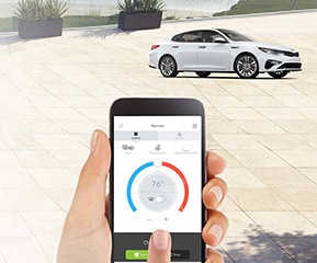 Go Remote.