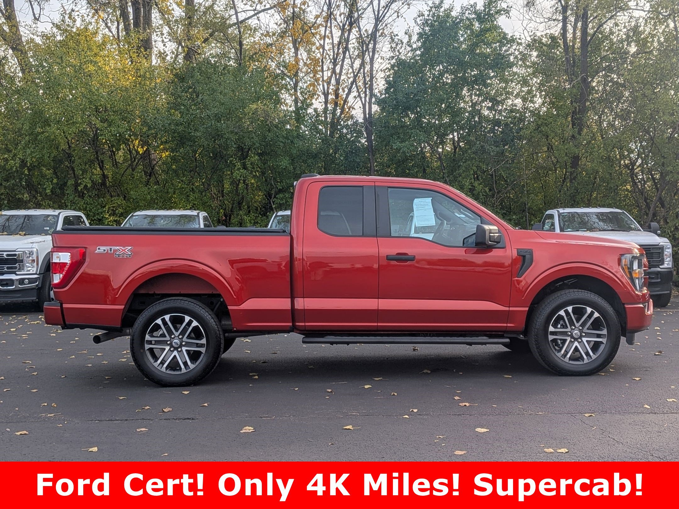 2023 Ford F-150 STX photo 2