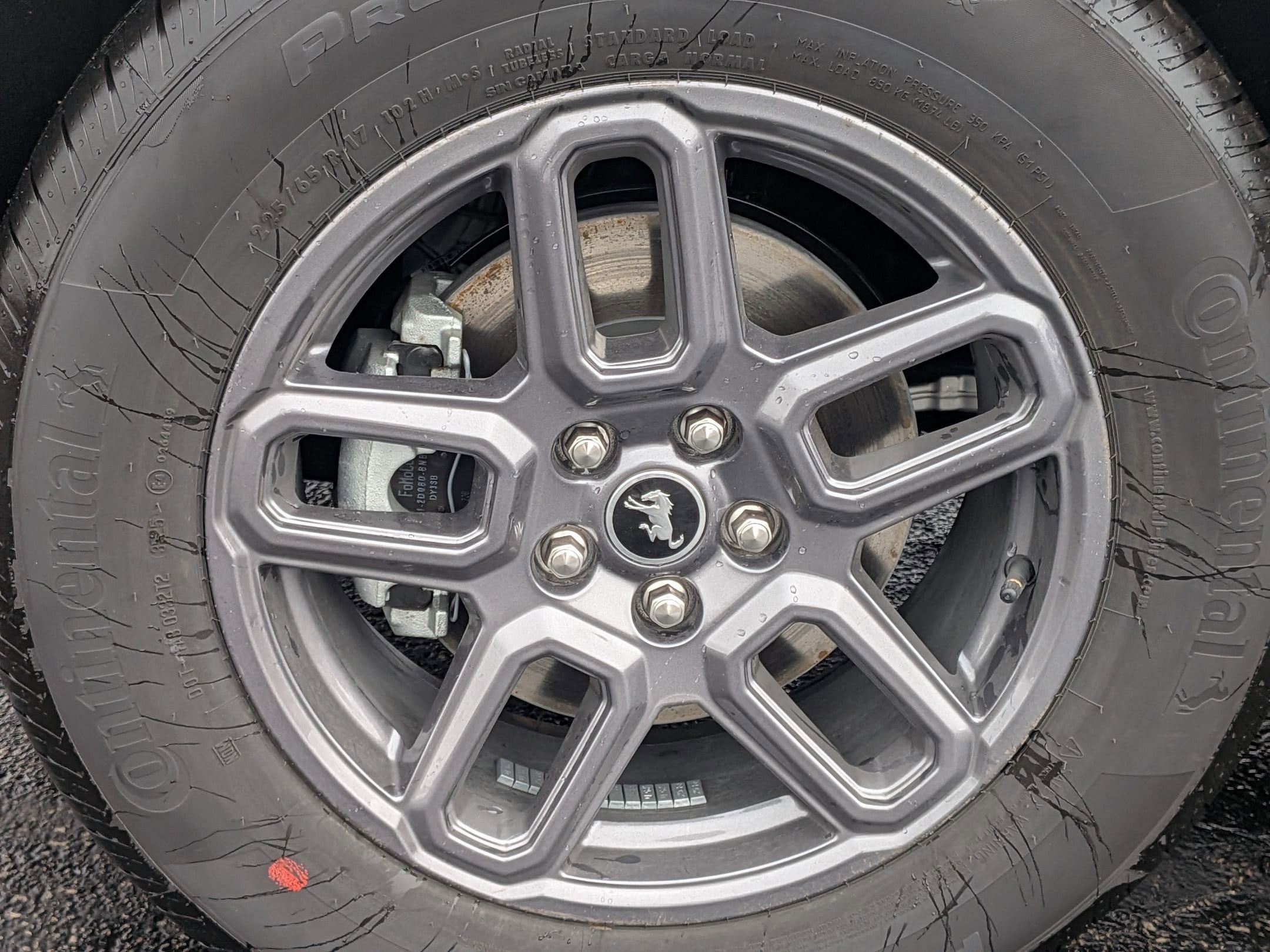 2025 FORD BRONCO SPORT - Image 8