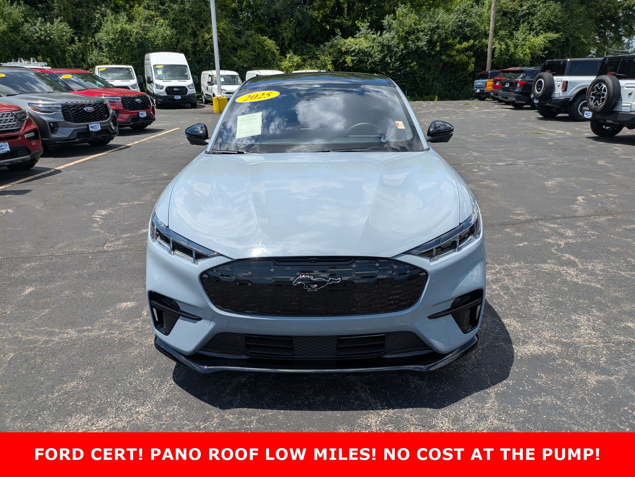Certified 2025 Ford Mustang Mach-E GT AWD with VIN 3FMTK4SX8SMA12658 for sale in West Chicago, IL