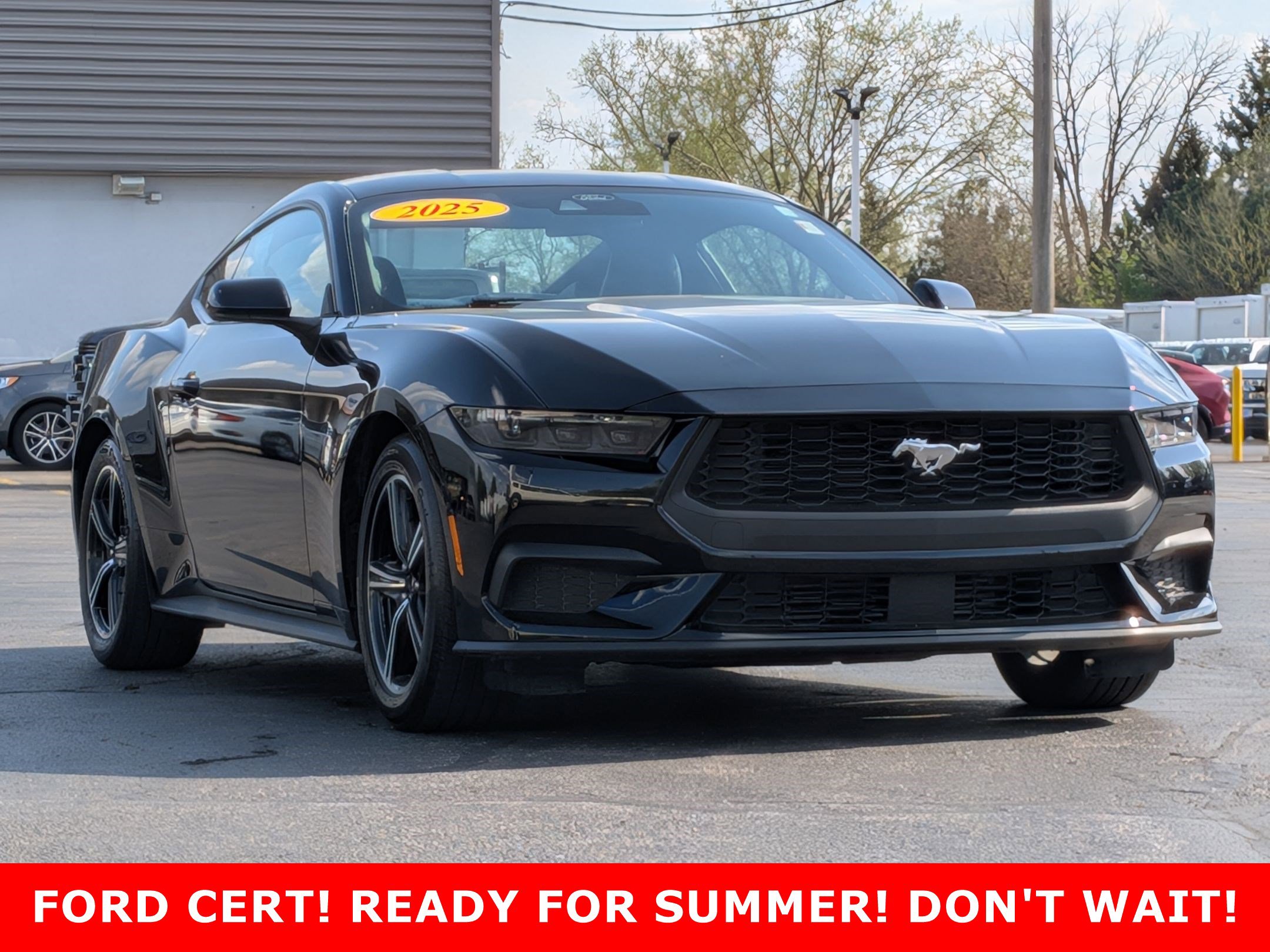 2025 Ford Mustang EcoBoost Premium - Photo 3