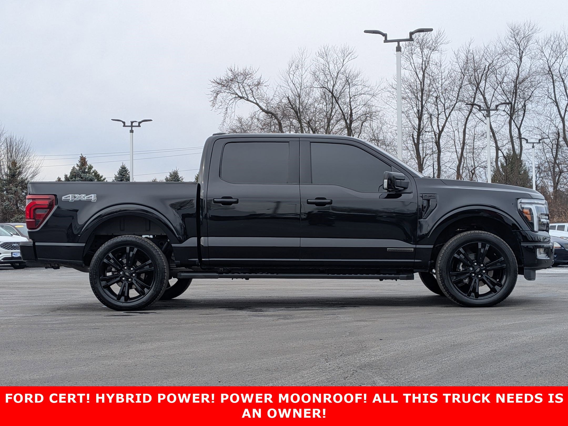 2024 FORD F-150 - Image 4