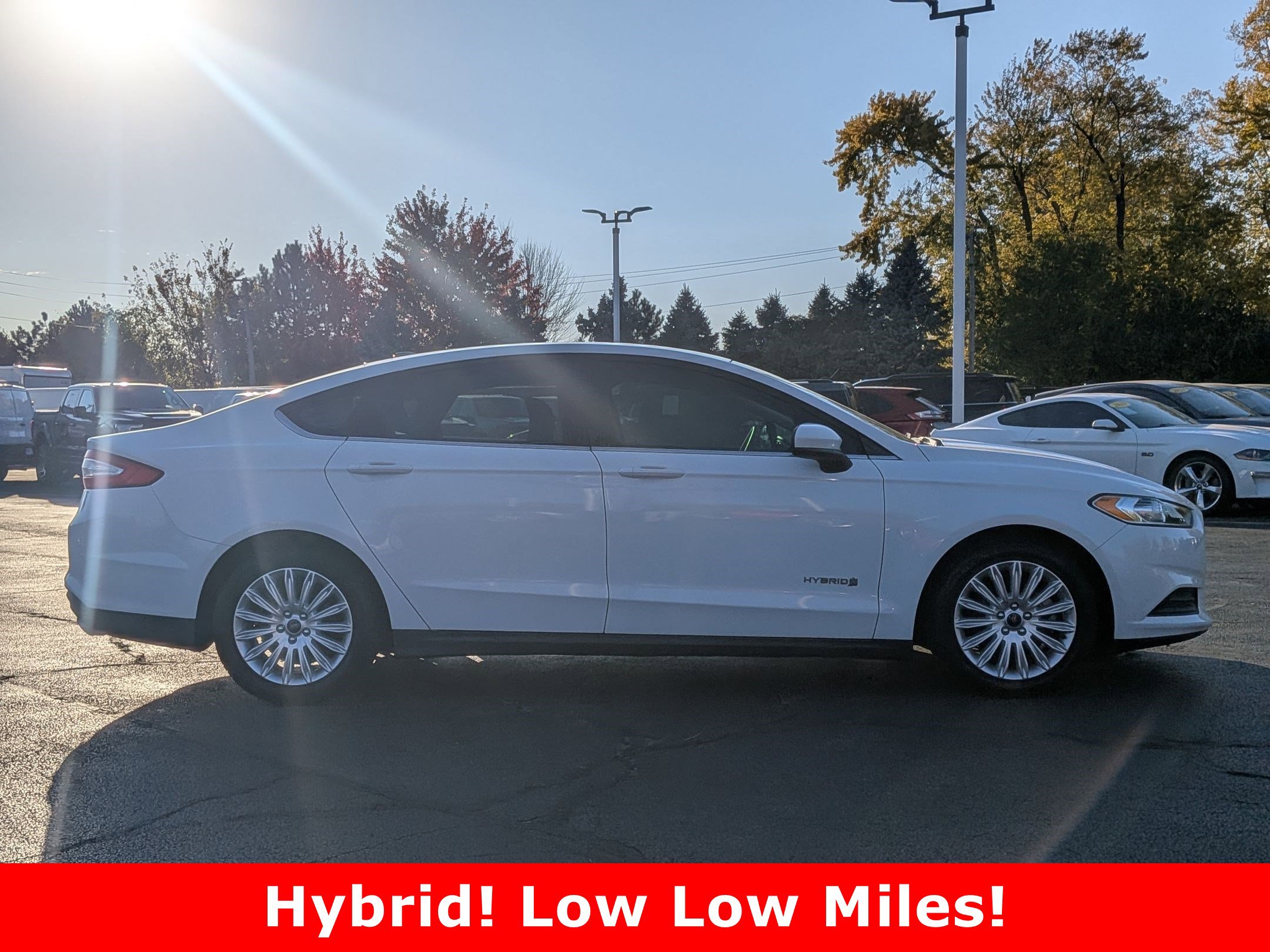 2016 Ford Fusion S Hybrid photo 3