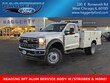 Ford Super Duty F-450 DRW