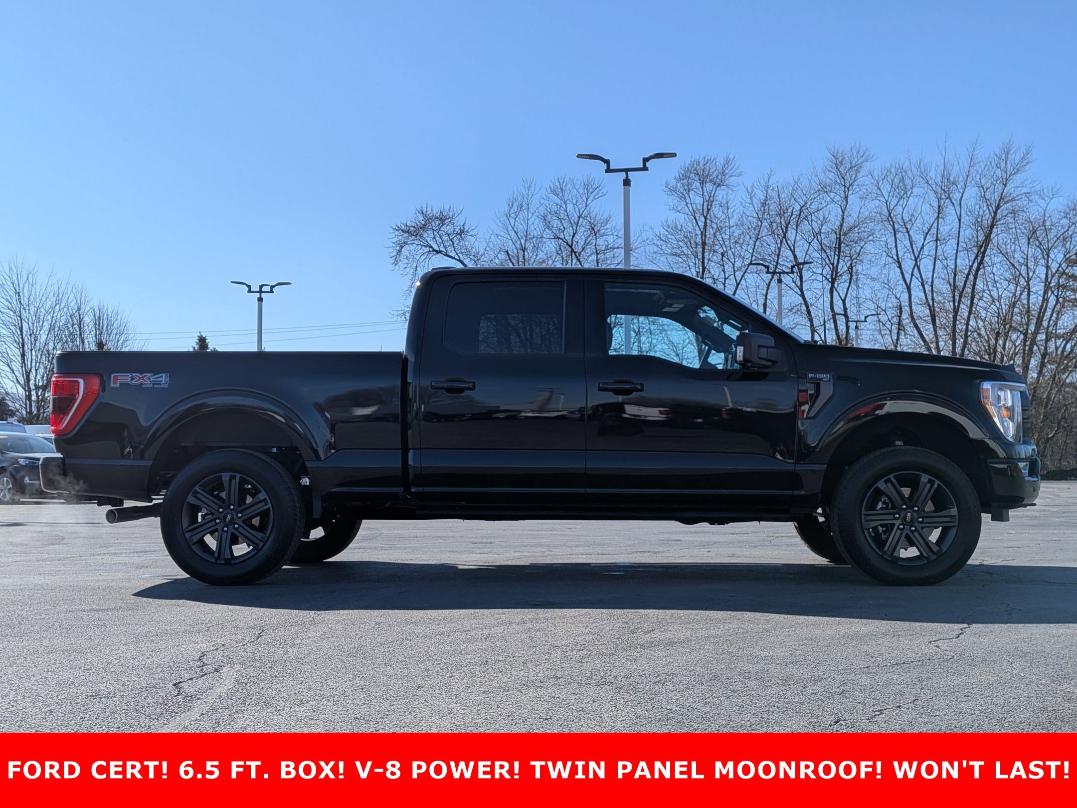 2023 FORD F-150 - Image 4