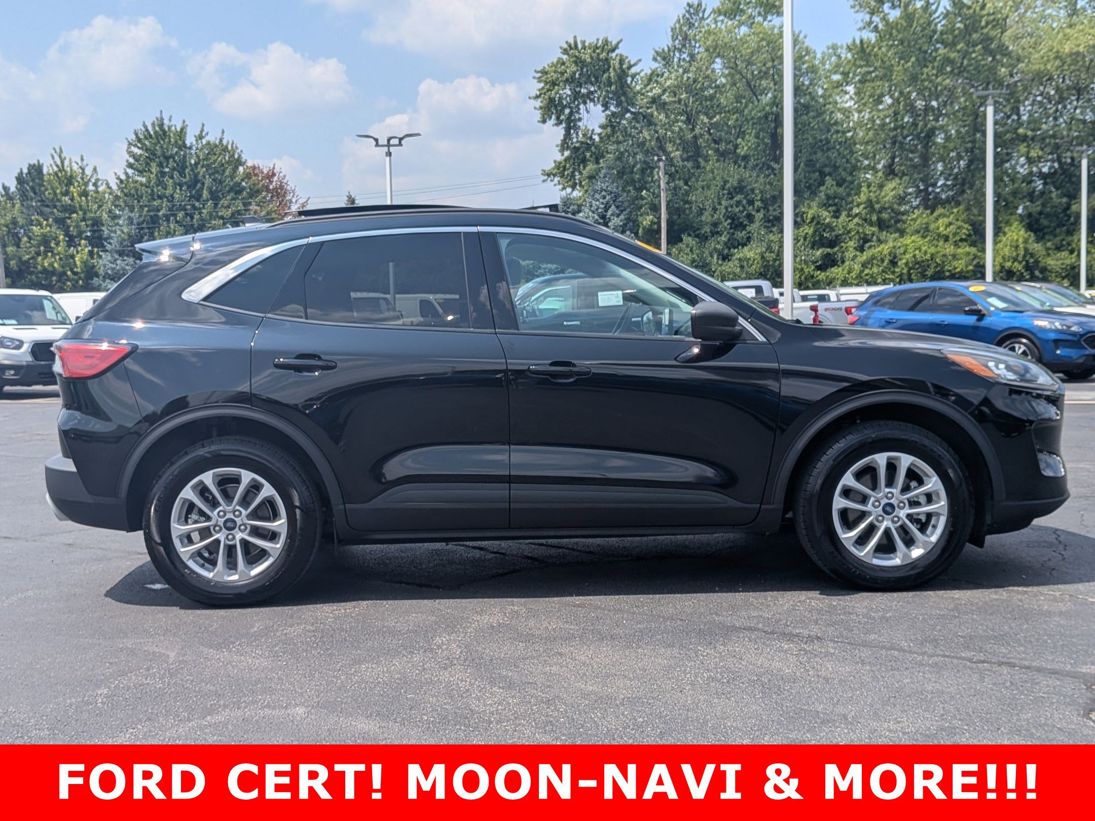 2022 Ford Escape SE photo 3