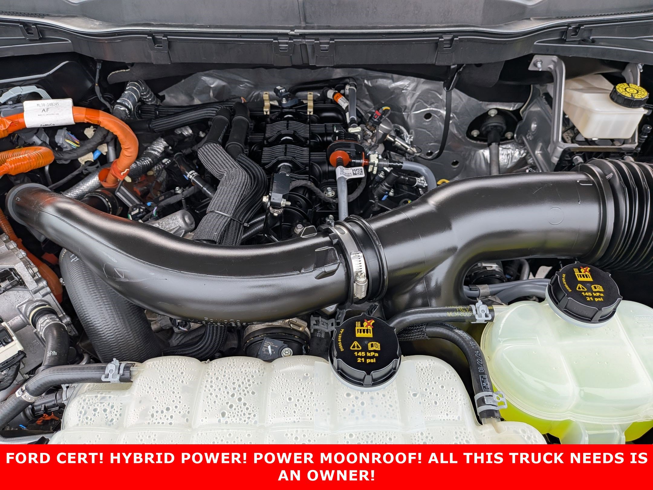 2024 FORD F-150 - Image 29