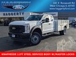 Ford Super Duty F-450 DRW