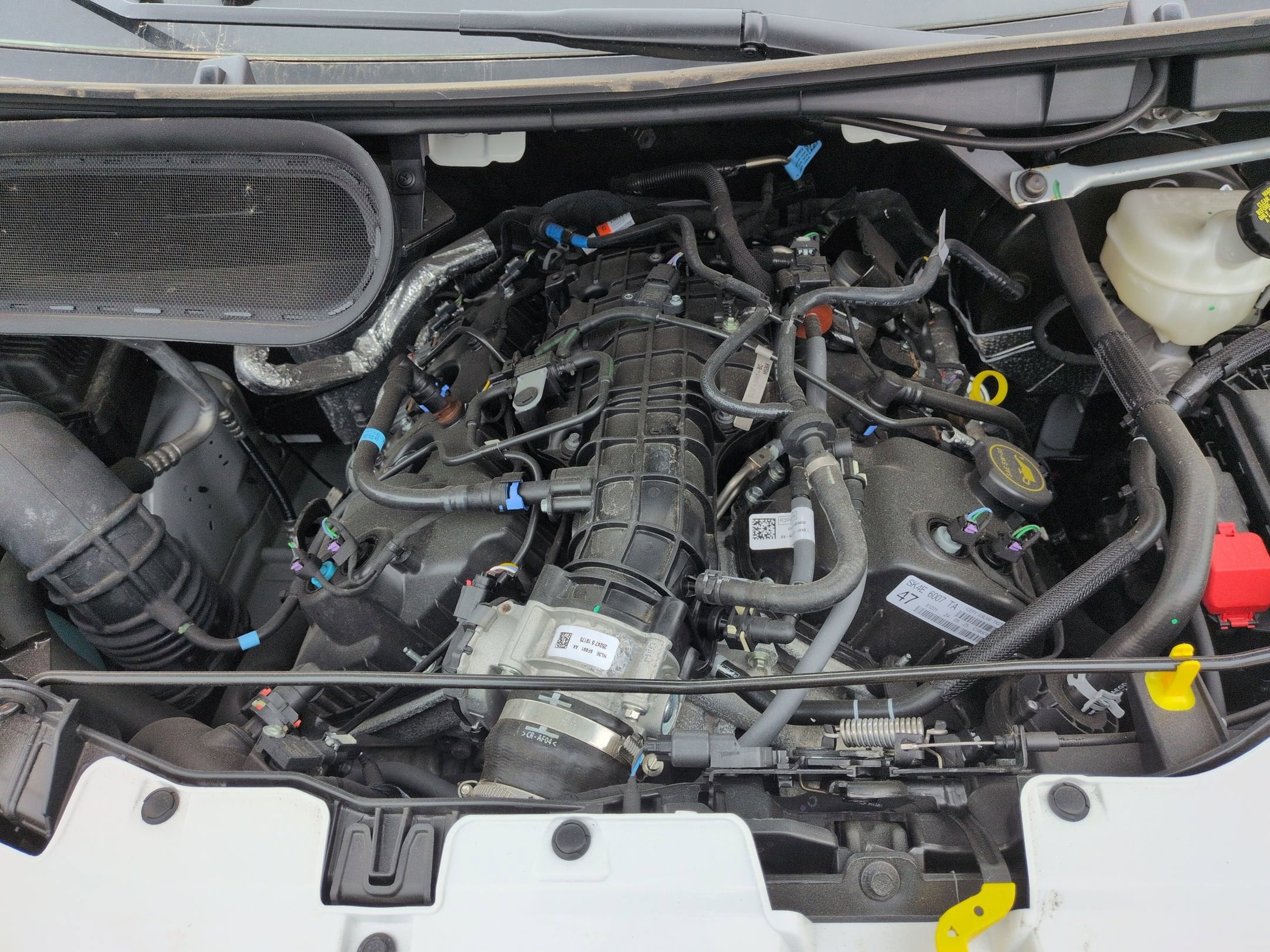 2026 Ford Transit Van Base - Photo 26