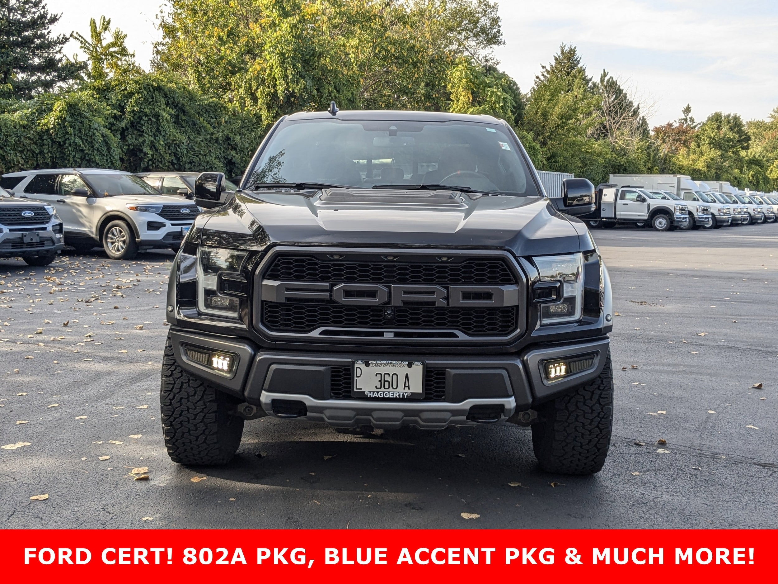 Certified 2019 Ford F-150 Raptor with VIN 1FTFW1RG9KFB44239 for sale in West Chicago, IL