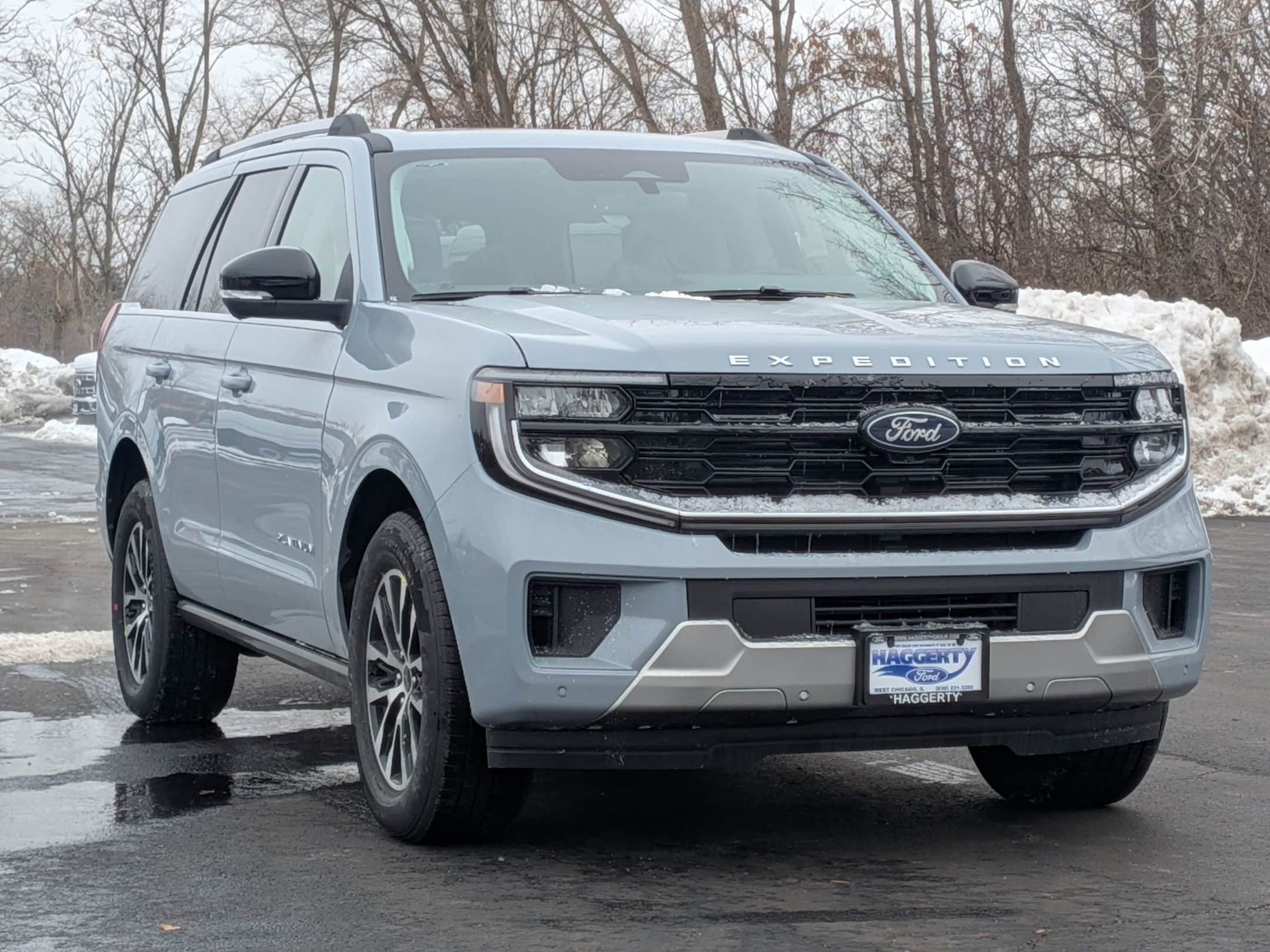 2025 FORD EXPEDITION - Image 3