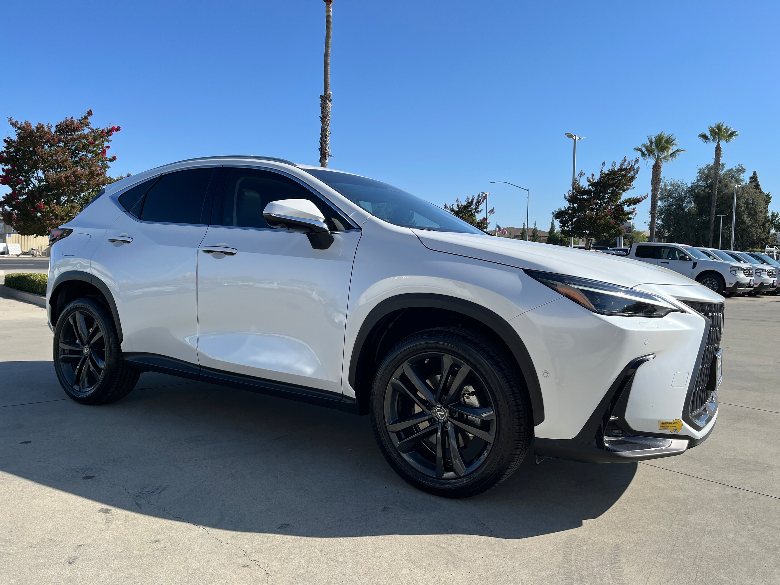 2022 Lexus NX 450h+ photo 2