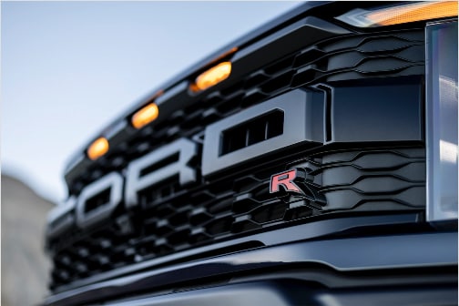 Raptor504x336.png