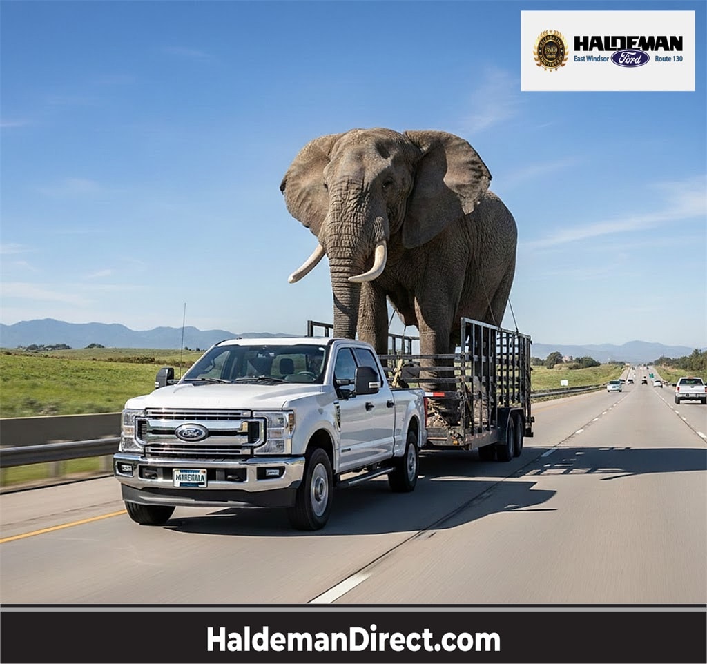 2023 Ford F-250 Super Duty XLT's photo