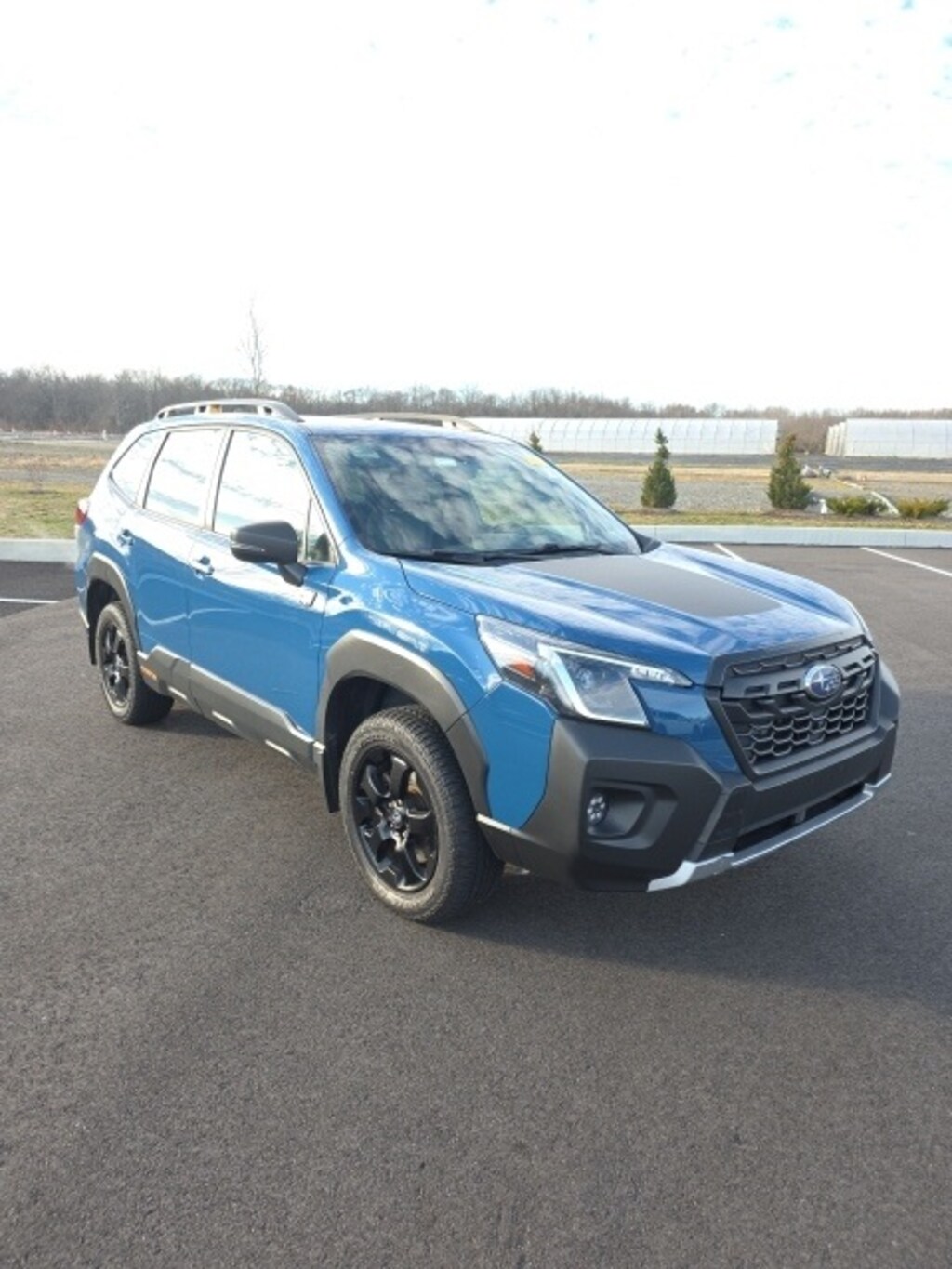 Used 2023 Subaru Forester Wilderness SUV