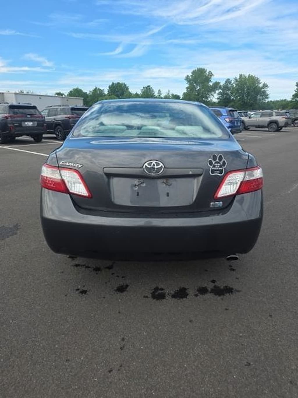 Used 2009 Toyota Camry Hybrid Base Sedan