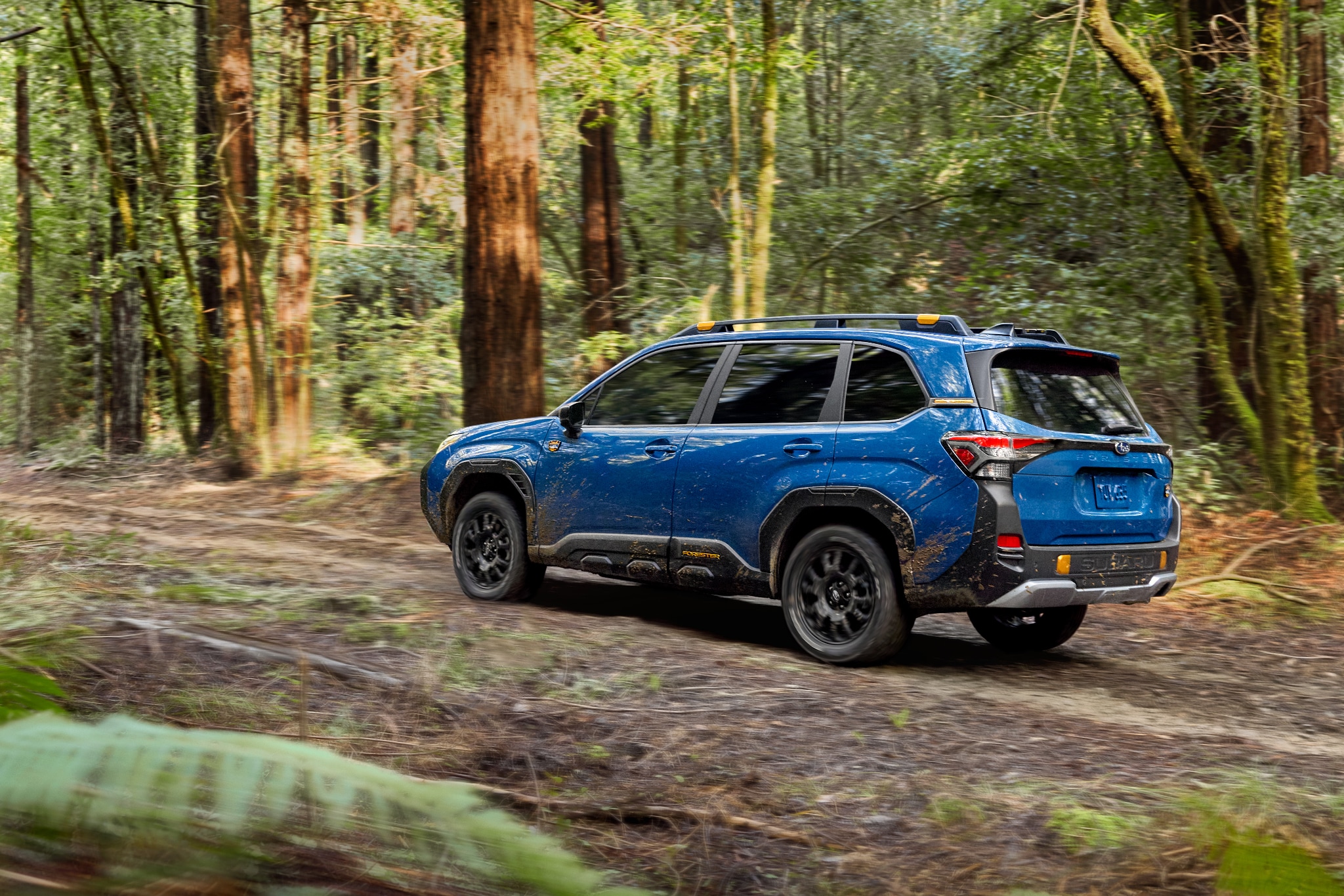 2027%20Subaru%20Forester%20Wilderness%20Hybrid.png