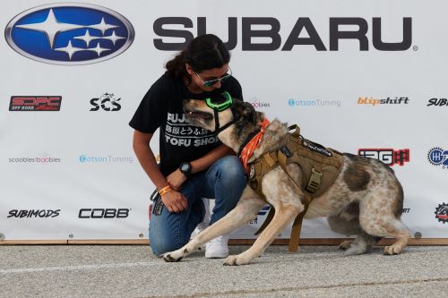 SubieEvents_Goggle_Dog.jpg
