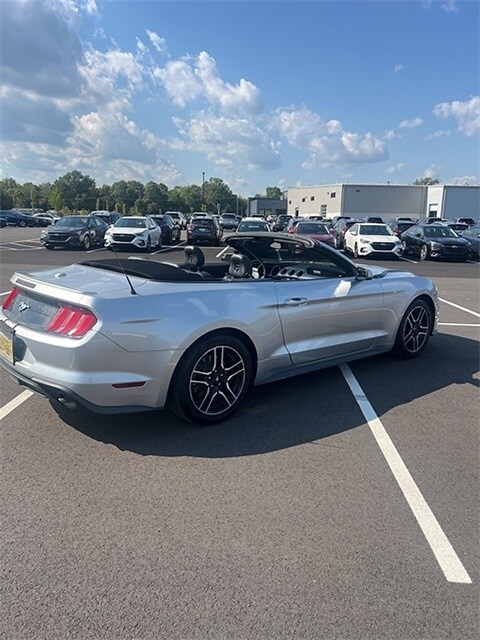 2019 Ford Mustang EcoBoost Premium Convertible photo 4