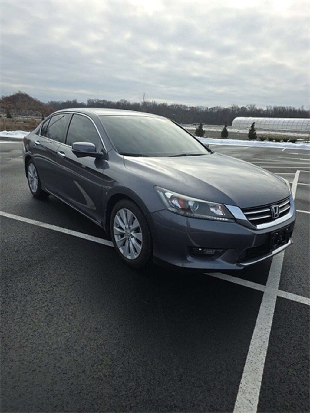 Used 2014 Honda Accord EX-L Sedan
